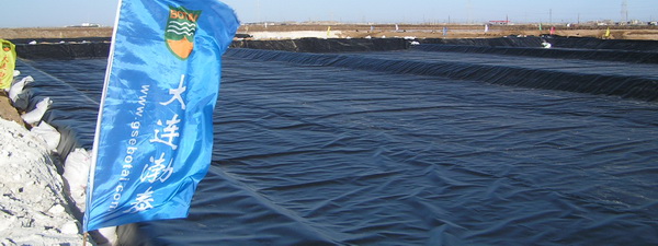 渤泰HDPE土工膜|渤泰土工膜|渤泰毛麵土工膜|渤泰糙麵土工膜|渤泰防滲土工膜|渤泰防水板|渤泰HDPE防滲土工膜|渤泰HDPE單糙麵土工膜|渤泰HDPE雙糙麵土工膜|渤泰人工湖防滲|渤泰水池防滲|渤泰化工汙水防神防腐|渤泰垃圾填埋場防滲|渤泰防滲工程|土工膜A渤泰|防滲土工膜A渤泰|防水板A渤泰|HDPE高密度聚乙烯土工膜A渤泰|HDPE土工膜A渤泰|HDPE防水板A渤泰|