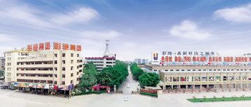 廣東彩豔股份有限公司