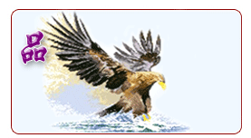 鄭州中天建築節能有限公司