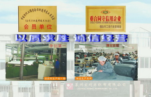 萊州嘉宏塑業有限公司