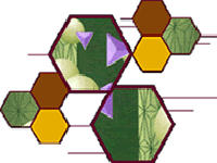 深圳市邁瑞爾化學技術有限公司