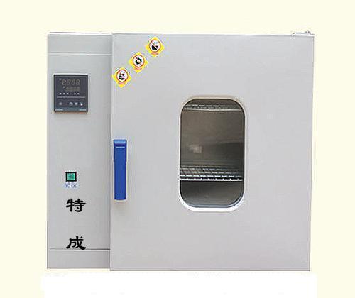 北京電熱恒溫幹燥箱