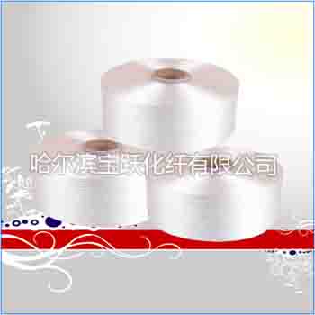 丙綸FDY絲 