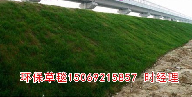 環保植草毯應用範圍，環保植生毯廠家