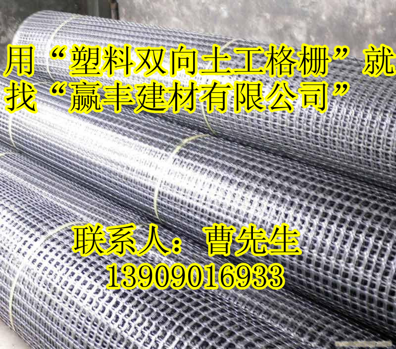 供應鋼塑雙向土工格柵