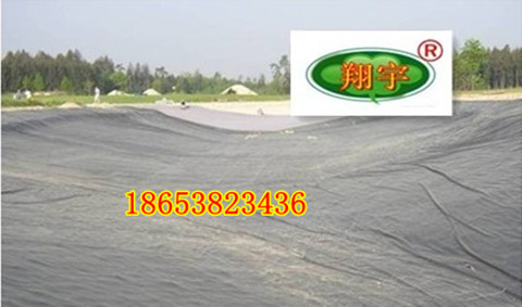 黃石蓮藕布蓮藕種植新技術