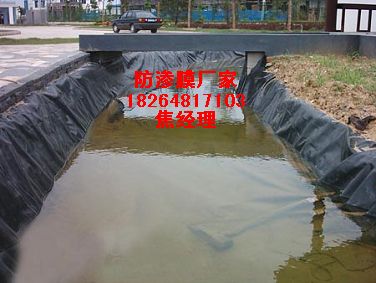 福建藕池防水布河道魚塘專用防滲膜