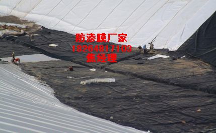 供應【濕地公園防滲膜】防滲膜多少錢一平方