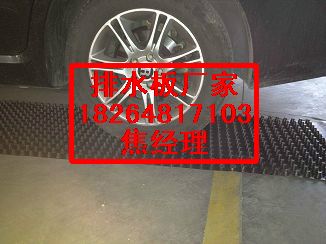 供應湖北武漢車庫塑料排水板|綠化疏水板