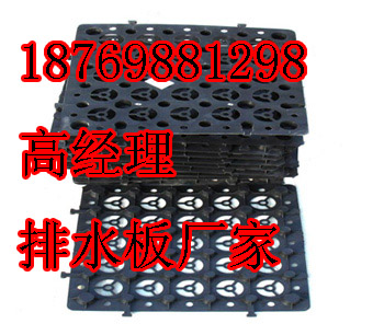 淮北排水板，淮北塑料排水板，淮北濾水板