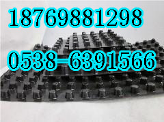 毫州排水板，毫州蓄排水板，毫州濾水板