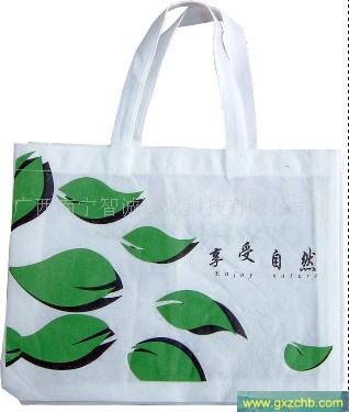 廣西南寧智誠環保無紡布袋