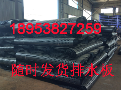 25高塑料排水板廠家推薦@環保綠化必備，新聞資訊