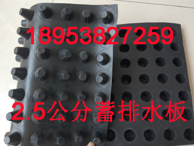 新聞在線@ 2公分車庫塑料排水板蓄水、排水、防滲透