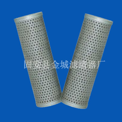 瑪勒濾芯