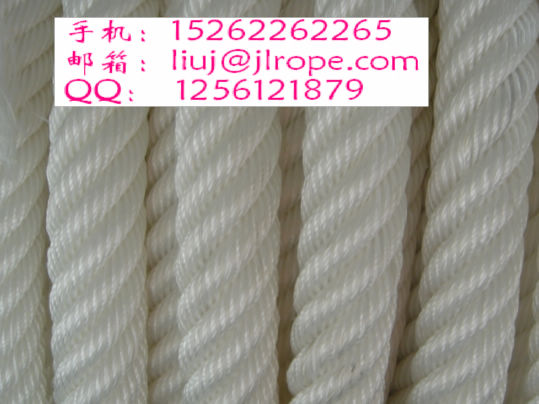 廠價供應阿特拉斯纜繩/牛筋繩/係泊繩