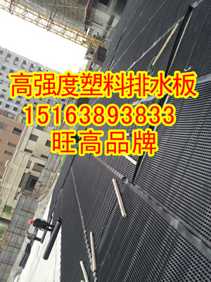 四川成都建築塑料排水板疏水板
