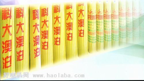 TS防水卷材防水材料