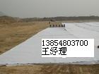 天津土工布反慮土工布廠家專供價格低