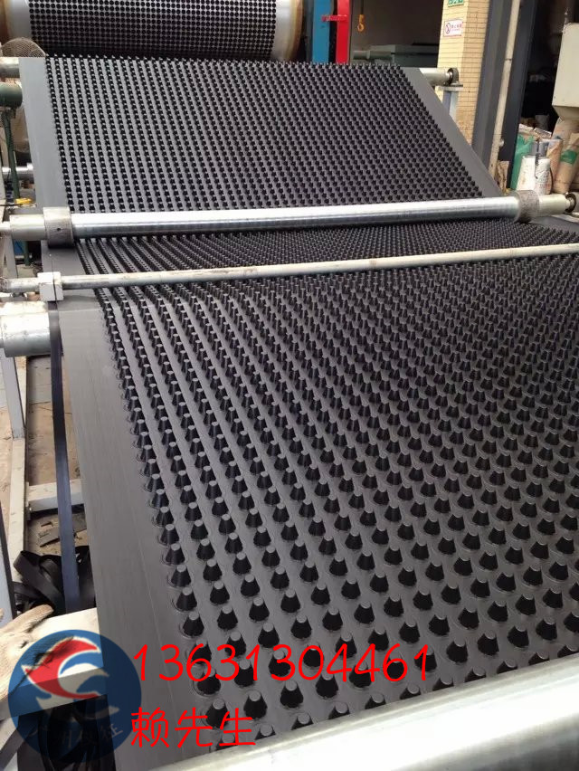 專用排水板屋頂綠化防水黑色綠色廠家直銷