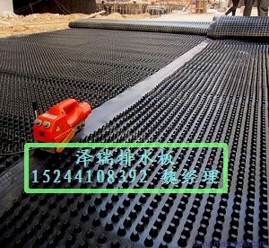 江蘇&宿遷綠化種植排水板