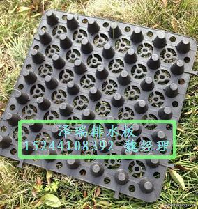 銀川--屋頂綠化排水板―價格[廠家直銷]