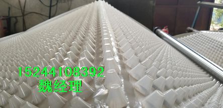 海南屋頂+陽台種植綠化排水板<澤瑞廠家