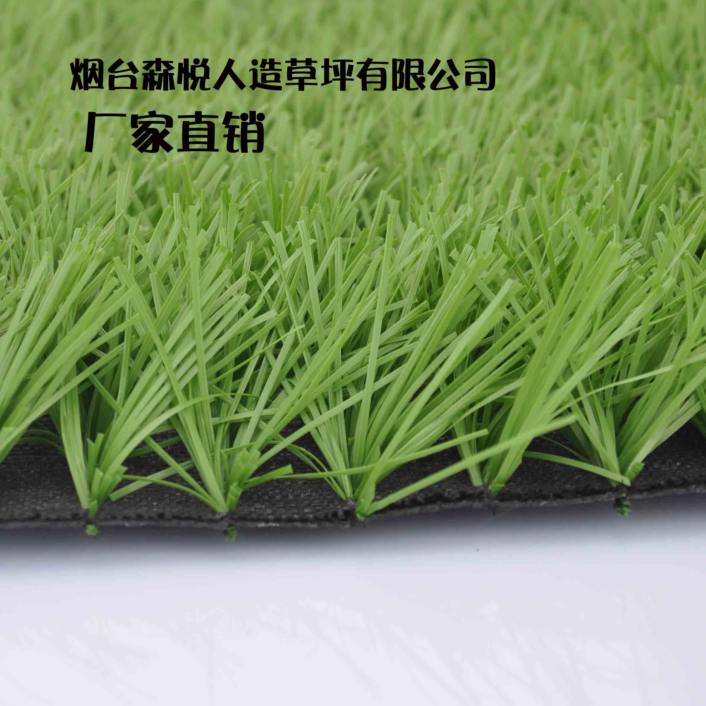 沈陽庭院休閑草坪