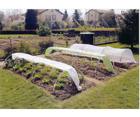 草坪專用無紡布