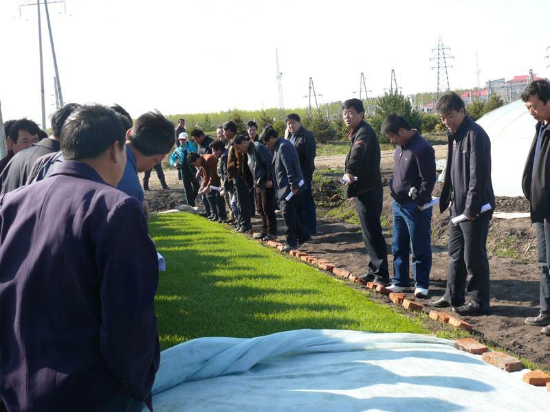 水稻育秧專用透氣膜