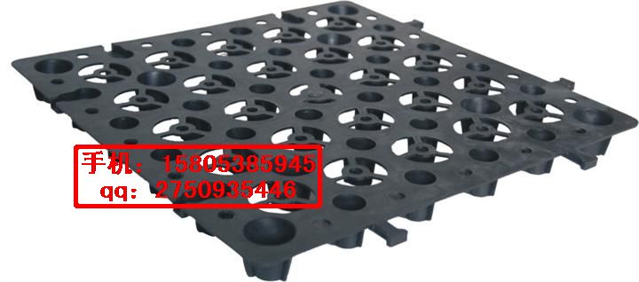 中山車庫塑料丨園林綠化蓄排水板%廠家生產