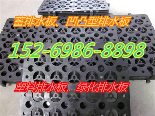 塑料排水板_蓄排水板_排水板_廠家