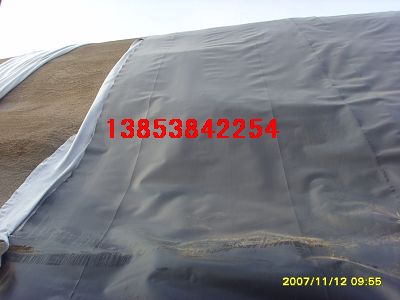 吉林沉澱池防滲膜∈福州人工湖防滲膜）防根