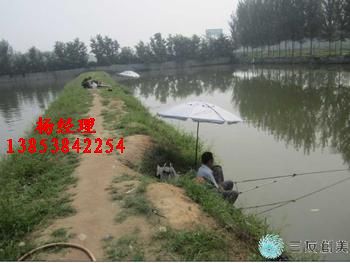 漯河商丘周口蓮藕專用防水布+廠家直銷%保