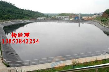 商丘棗莊養藕池防水橡膠布+++西安蓄水工