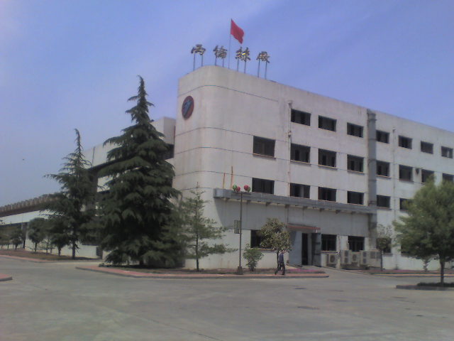 高強倍棯丙綸長絲