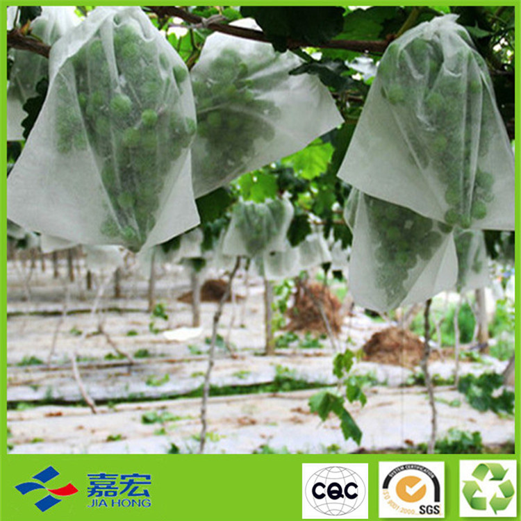 PP無紡布植物罩