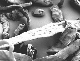 刹車片用高強度纖維素