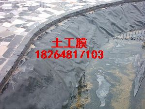 供應秦皇島土工膜環保土工膜HDPE防滲膜