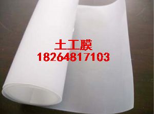 供應承德土工膜環保土工膜HDPE防滲膜
