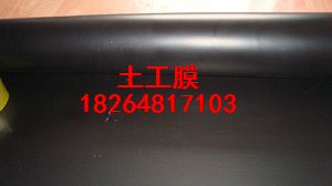 供應滄州土工膜環保土工膜HDPE防滲膜