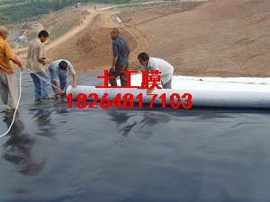 供應大同土工膜環保土工膜HDPE防滲膜