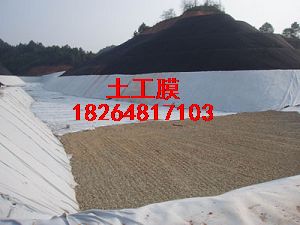 供應長治土工膜綠化土工膜HDPE防滲膜