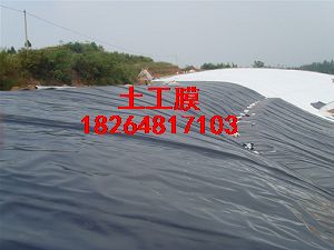 供應呂梁土工膜綠化土工膜HDPE防滲膜