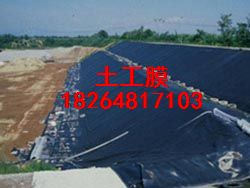 供應青島土工膜綠化土工膜HDPE防滲膜