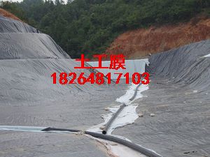 供應湖北土工膜綠化土工膜HDPE防滲膜