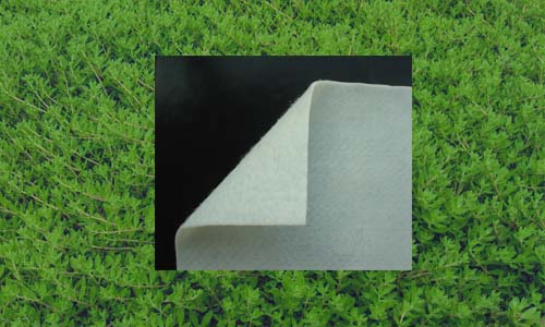 垃圾填埋場防滲土工布