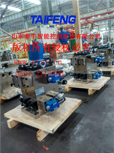 TF10032Y-00a泰豐折彎機閥組