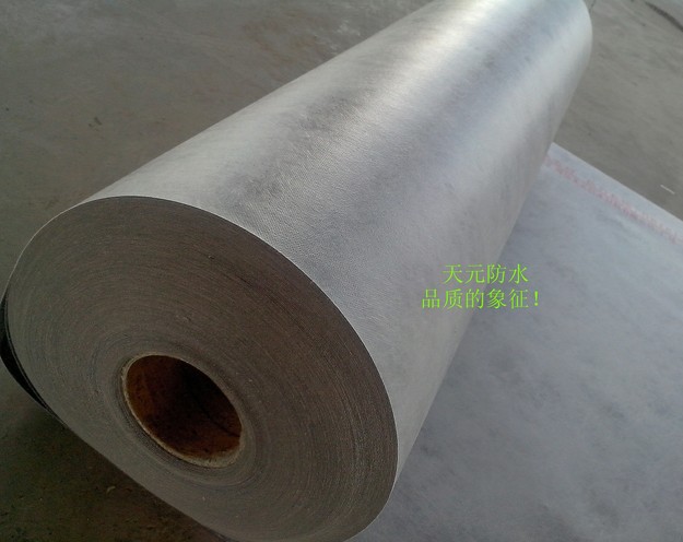 高分子防水卷材應用技術