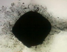 卡博特色素碳黑430